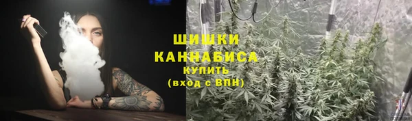 ПСИЛОЦИБИНОВЫЕ ГРИБЫ Алзамай