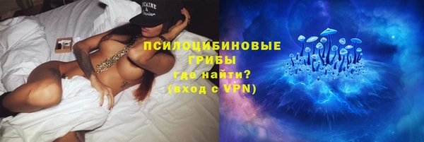 ПСИЛОЦИБИНОВЫЕ ГРИБЫ Алзамай