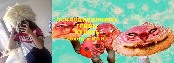 ПСИЛОЦИБИНОВЫЕ ГРИБЫ Алзамай