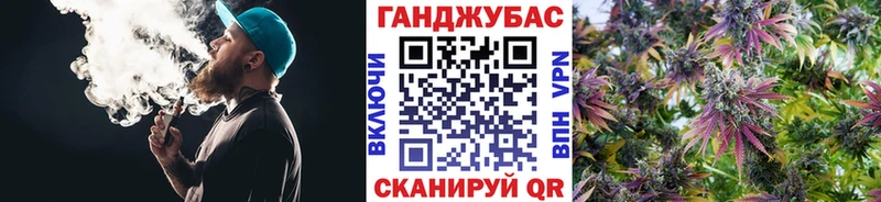 Купить закладки  Эртиль  Бошки марихуана Amnesia 